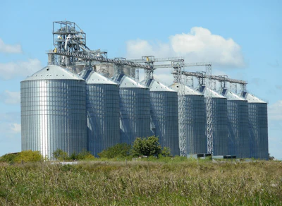 Large agricultural grain storage silos with conveyor systems in rural farmland under blue sky