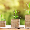 Three progressively taller coin stacks with green plant shoots symbolizing financial growth and investment success