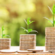Three progressively taller coin stacks with green plant shoots symbolizing financial growth and investment success
