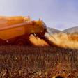 Orange combine harvester harvesting grain in a dusty field with mountains in the background